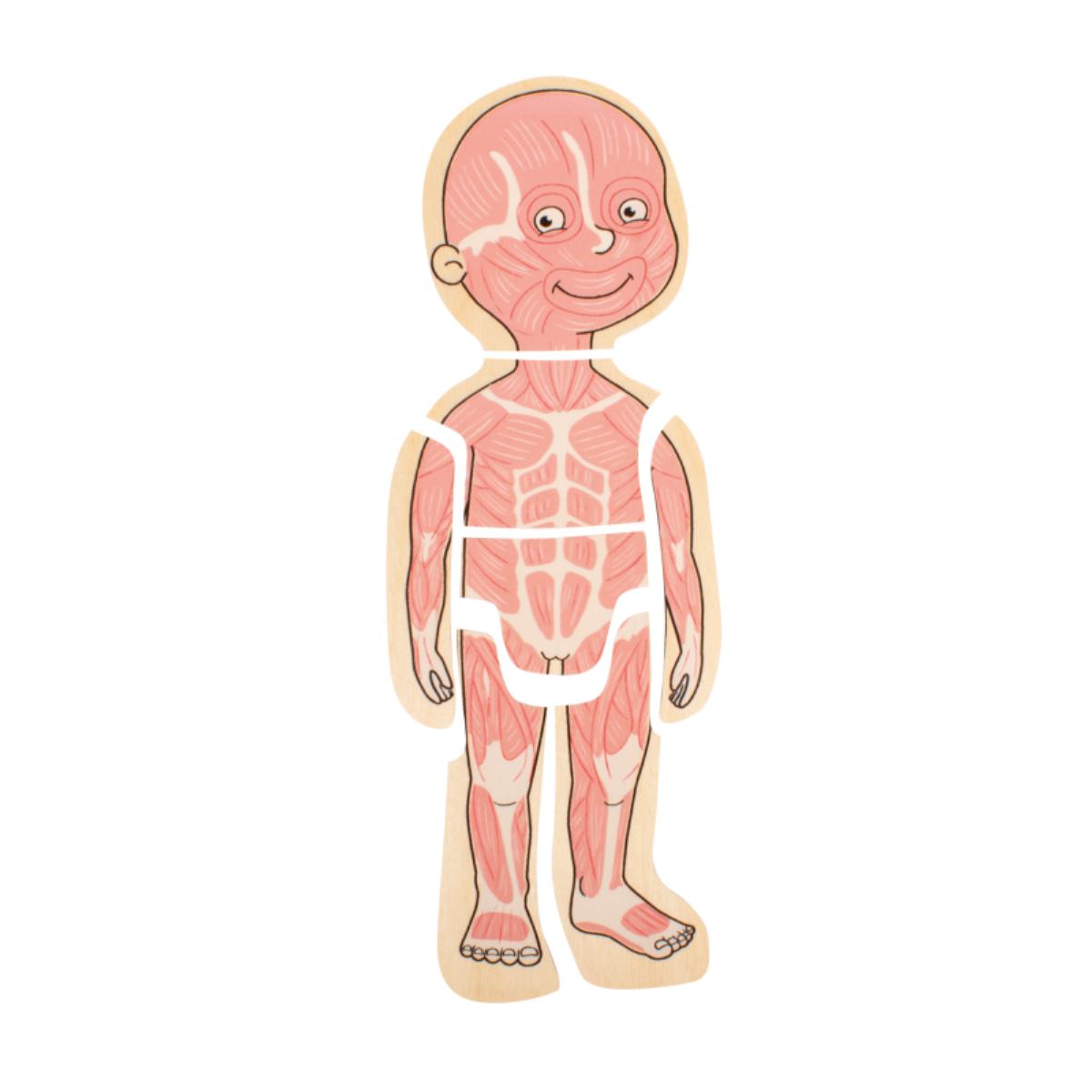 Puzzle multiniveaux corps Fille Beleduc