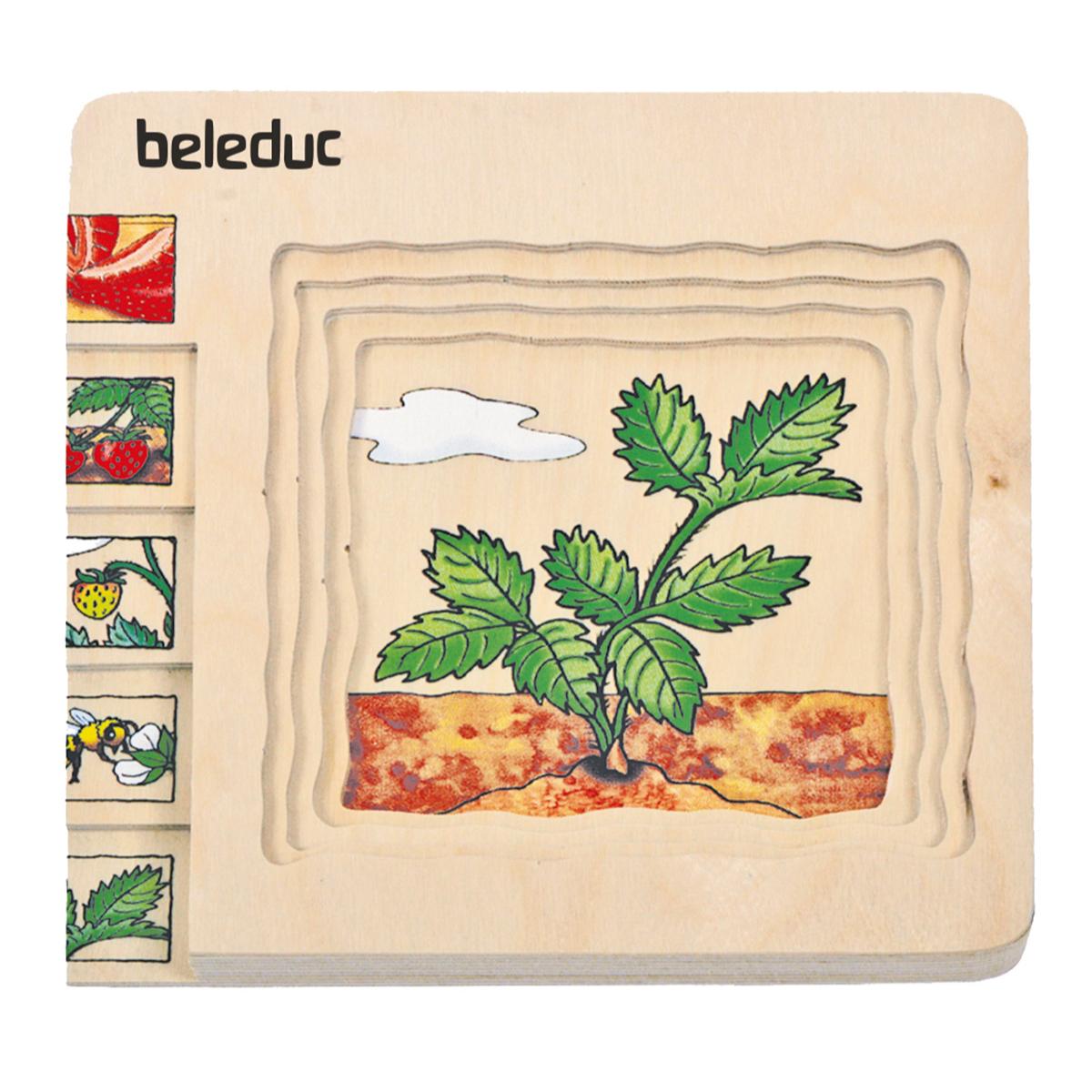 Puzzle multiniveaux Fraise Beleduc