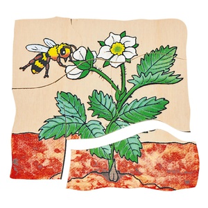 Puzzle multiniveaux Fraise Beleduc