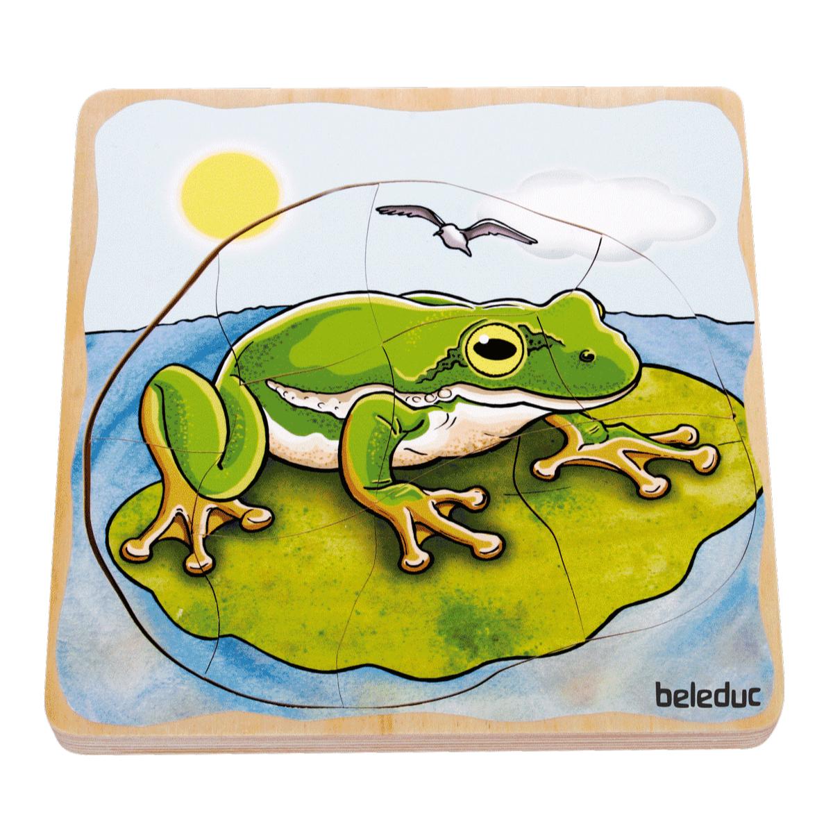 Puzzle multiniveaux Grenouille Beleduc