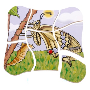 Puzzle multiniveaux Papillon Beleduc