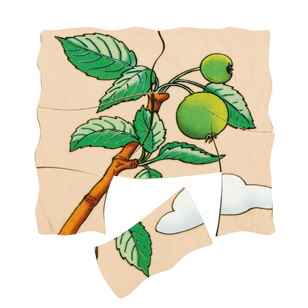 Puzzle multiniveaux Pomme Beleduc