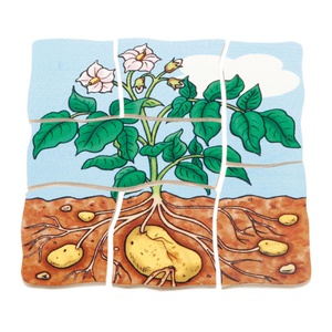 Puzzle multiniveaux Pomme de terre Beleduc