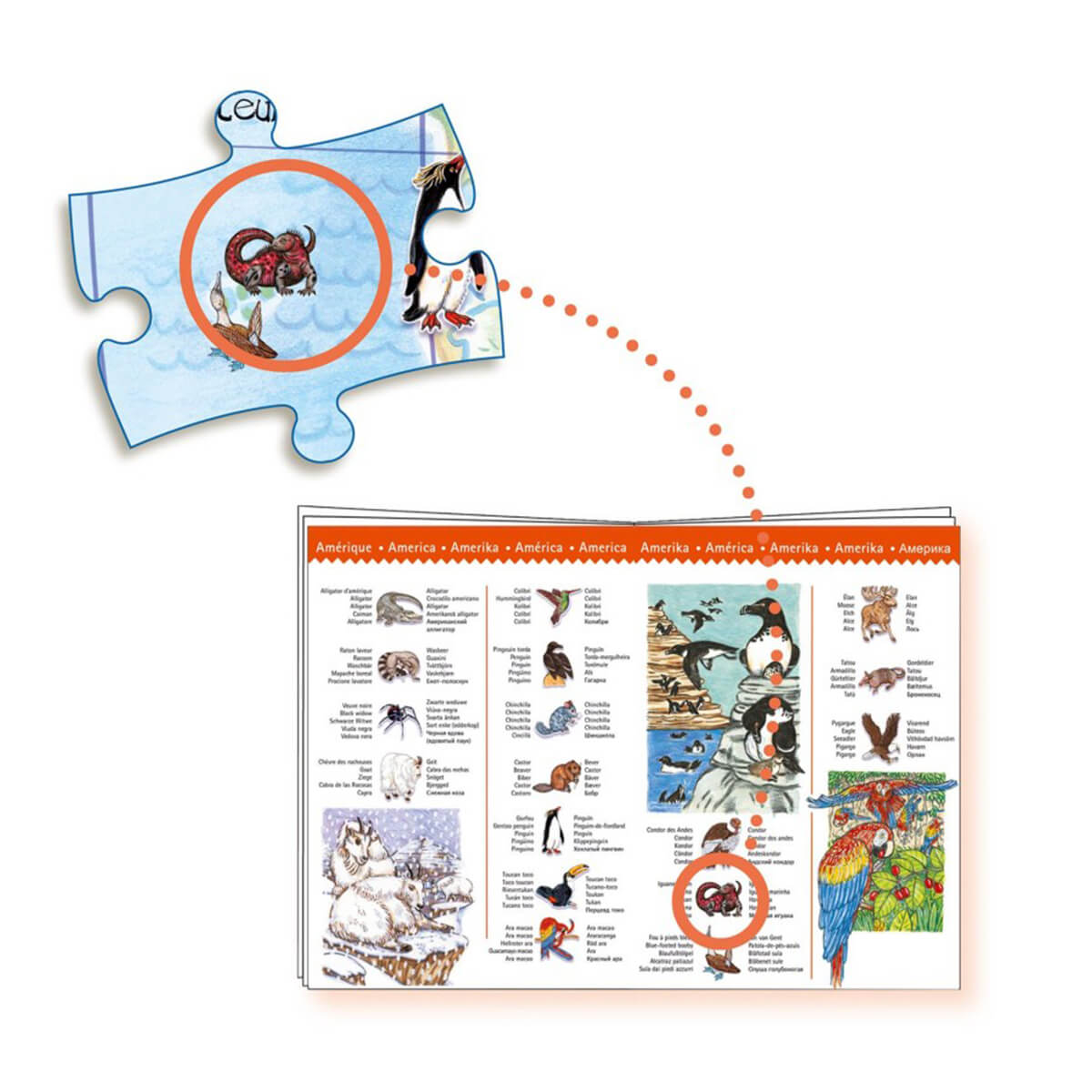 Puzzle observation-100pcs ANIMAUX DU MONDE Djeco