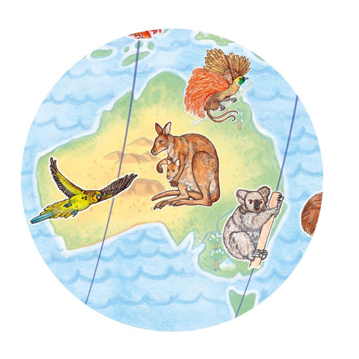Puzzle observation-100pcs ANIMAUX DU MONDE Djeco