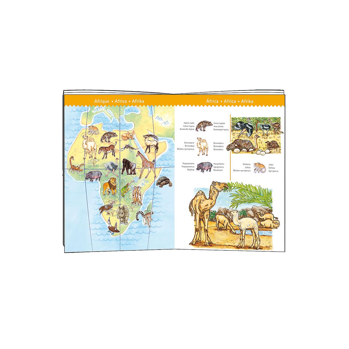 Puzzle observation-100pcs ANIMAUX DU MONDE Djeco
