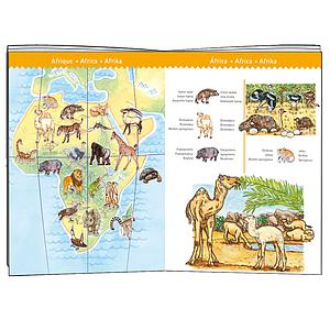 Puzzle observation-100pcs ANIMAUX DU MONDE Djeco