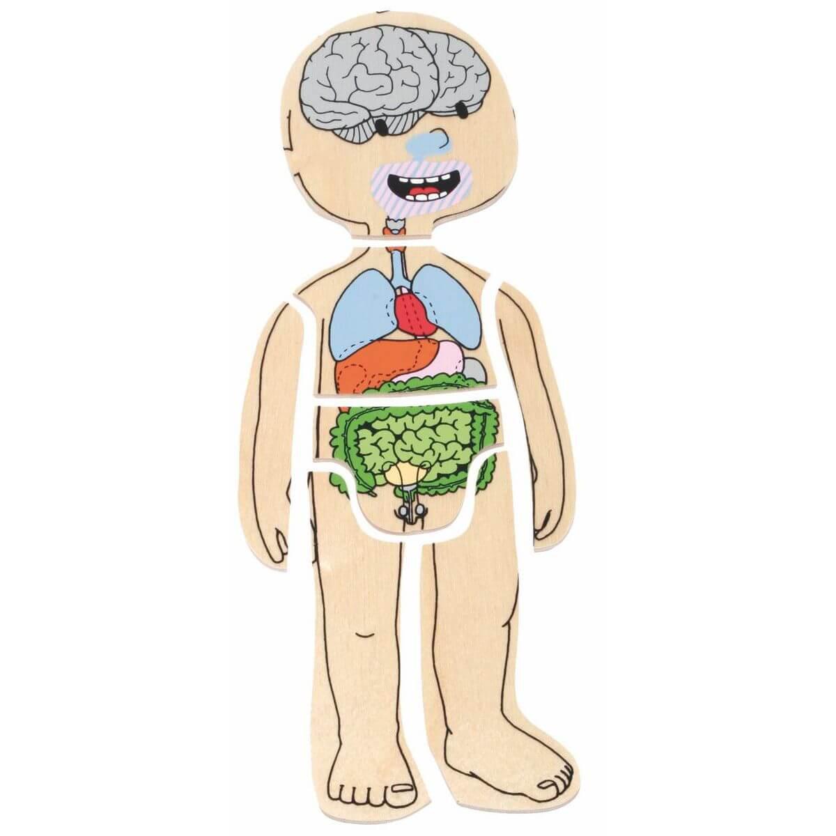 Puzzle YOUR BODY BOY Beleduc 