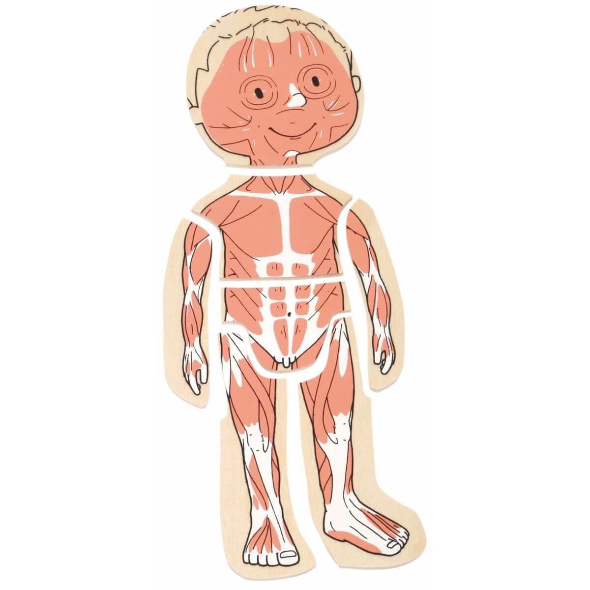 Puzzle YOUR BODY BOY Beleduc 