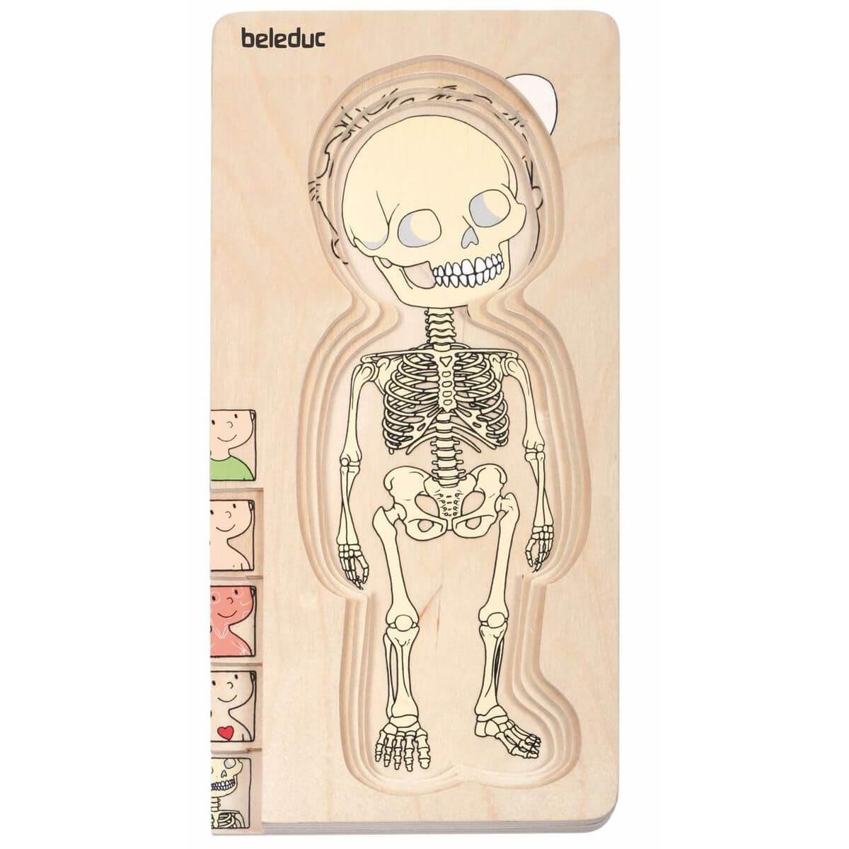 Puzzle YOUR BODY BOY Beleduc 