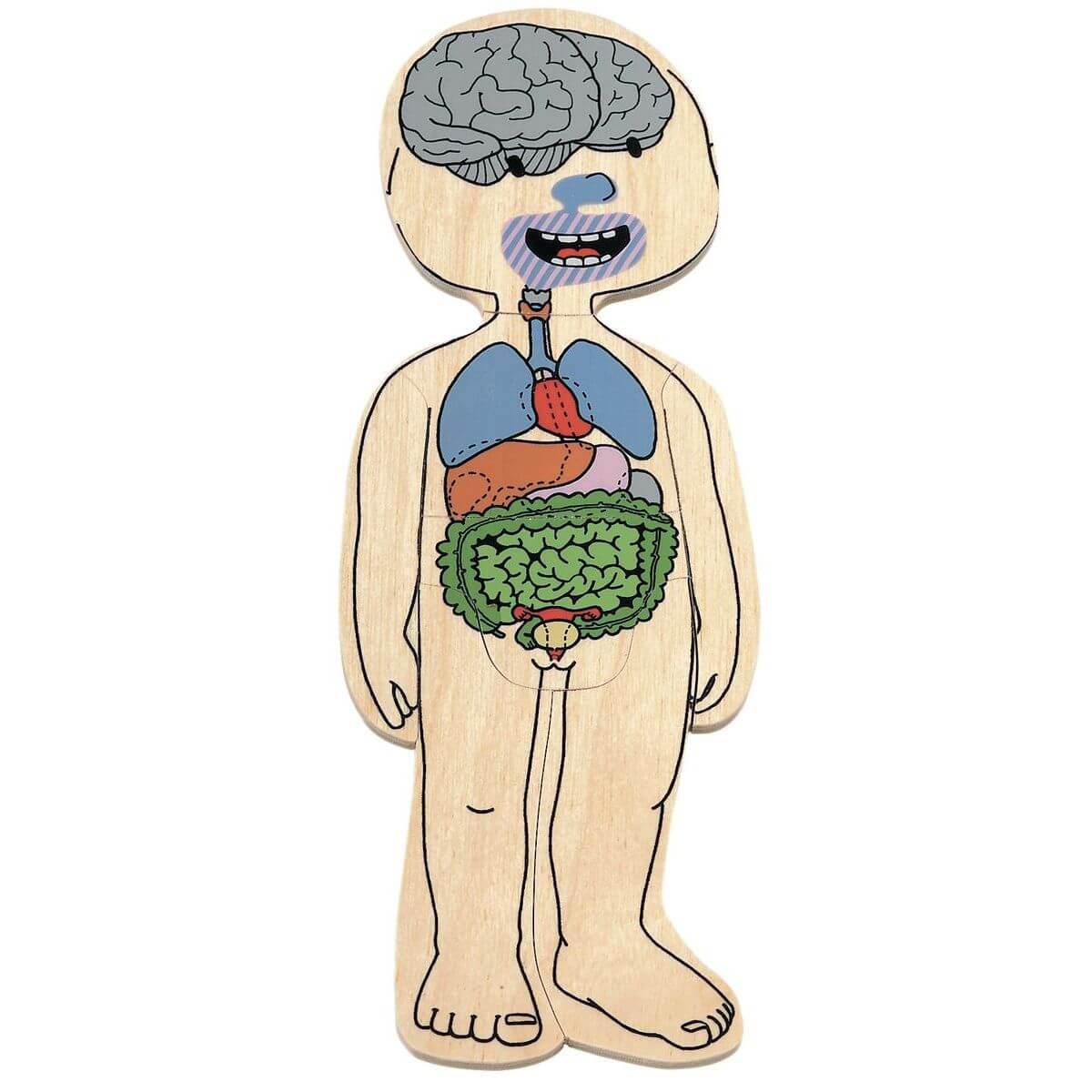 Puzzle YOUR BODY GIRL Beleduc