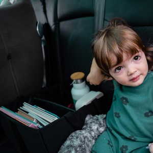Sac Organisateur de Voiture EZI Ezomoov