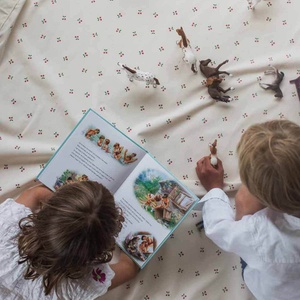 Sac-tapis de rangement CHERRY CHERRY Play&Go