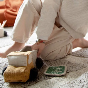 Set panier de rangements mini TRUCK Lorena Canals