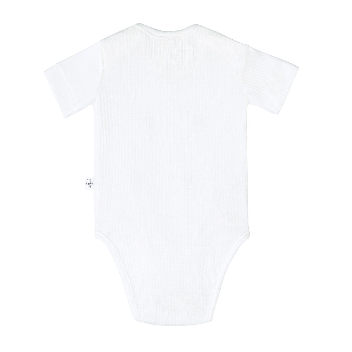 Short Sleeve Body EUCALYPTUS Lait côtelé 7-12m size 74/80 Laessig