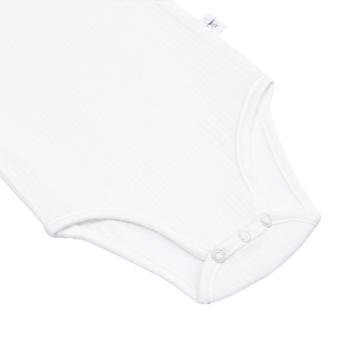 Short Sleeve Body EUCALYPTUS Lait côtelé 7-12m size 74/80 Laessig