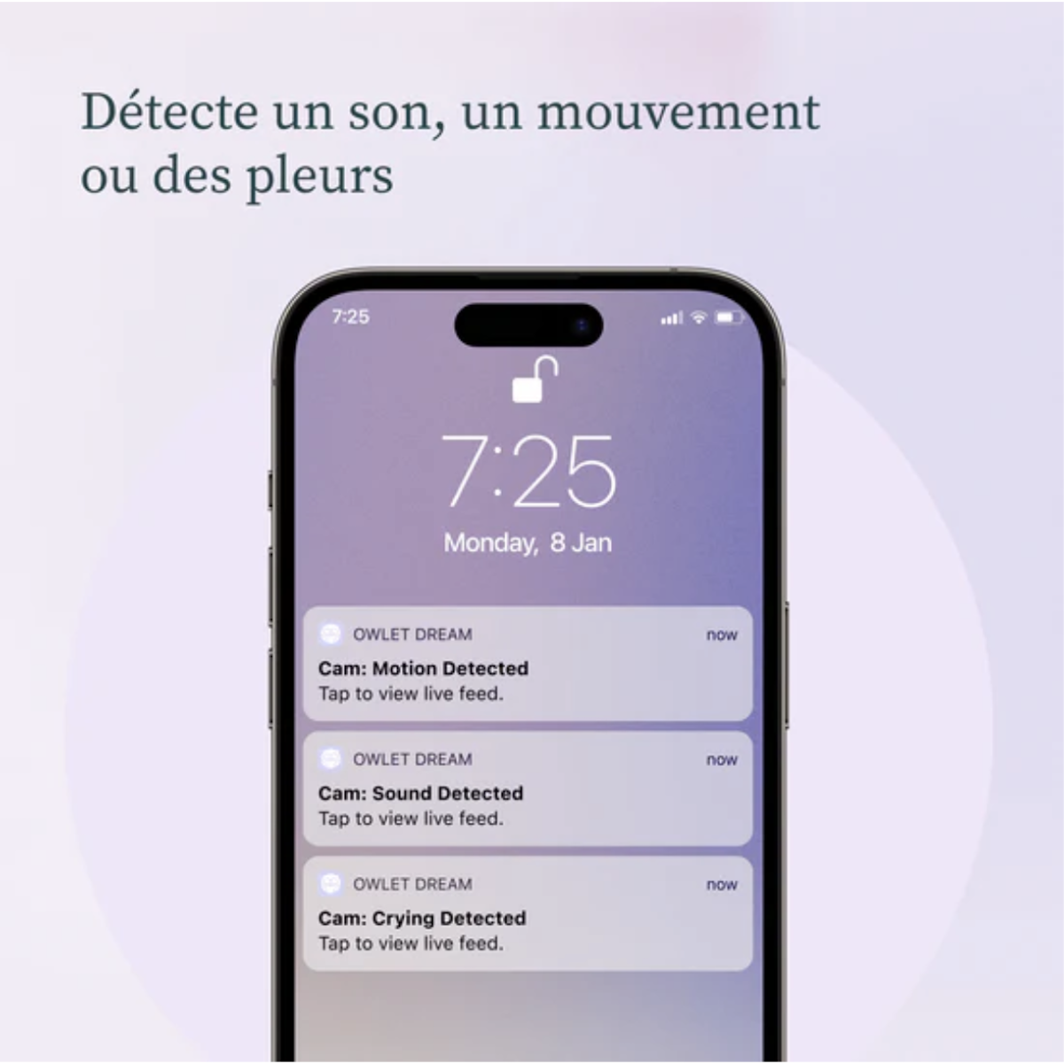 Système de surveillance intelligent pour bébé DREAM SOCK & CAM 2 Bundle Owlet mint