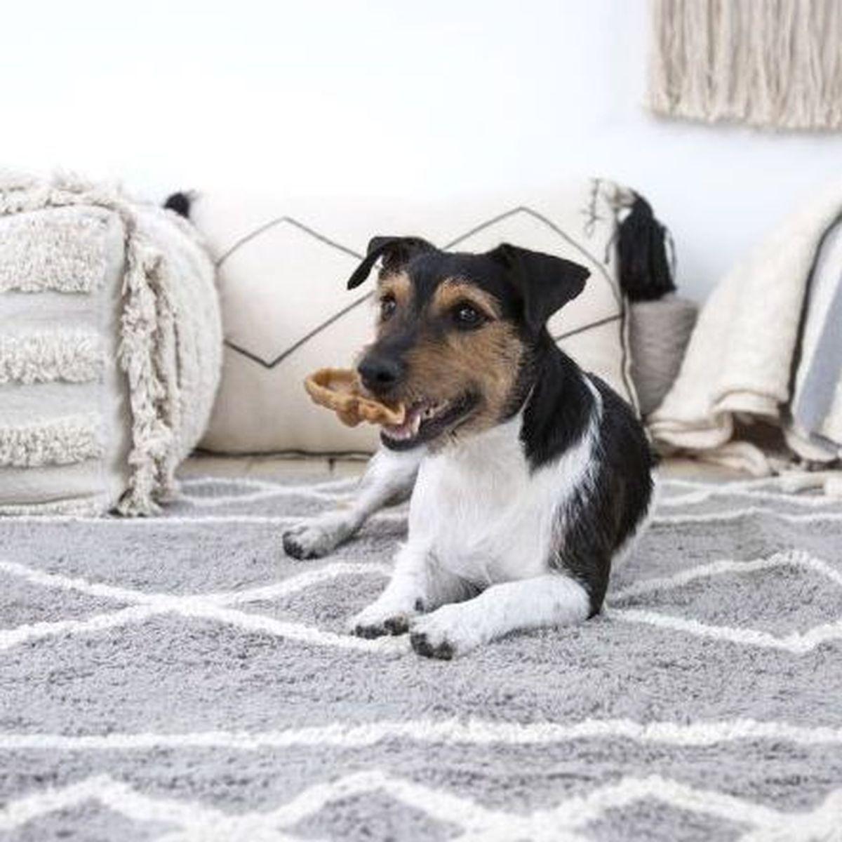 Tapis 120x160cm OASIS Lorena Canals Grey  - Natural