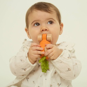 Voiture CATHY THE CARROT CAR Oli and Carol