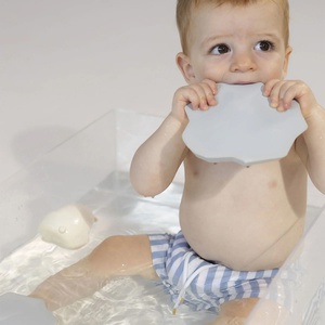 Voiture SWEETIE ICE PENGUIN Oli&Carol